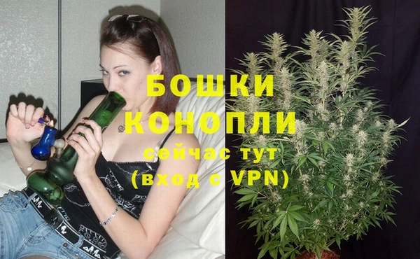 прущие крисы Богородицк