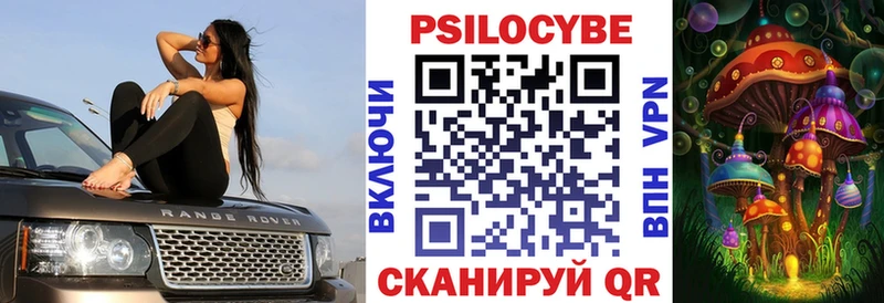 гидра зеркало  цена наркотик  Елизаветинская  Псилоцибиновые грибы Psilocybine cubensis 